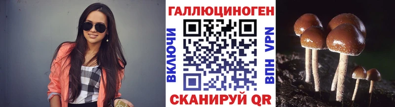 где купить наркоту  это Telegram  Псилоцибиновые грибы мицелий  Вязники 