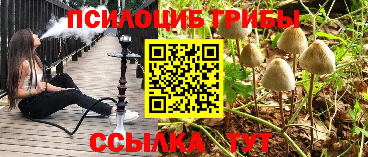 Псилоцибиновые грибы Magic Shrooms Вязники