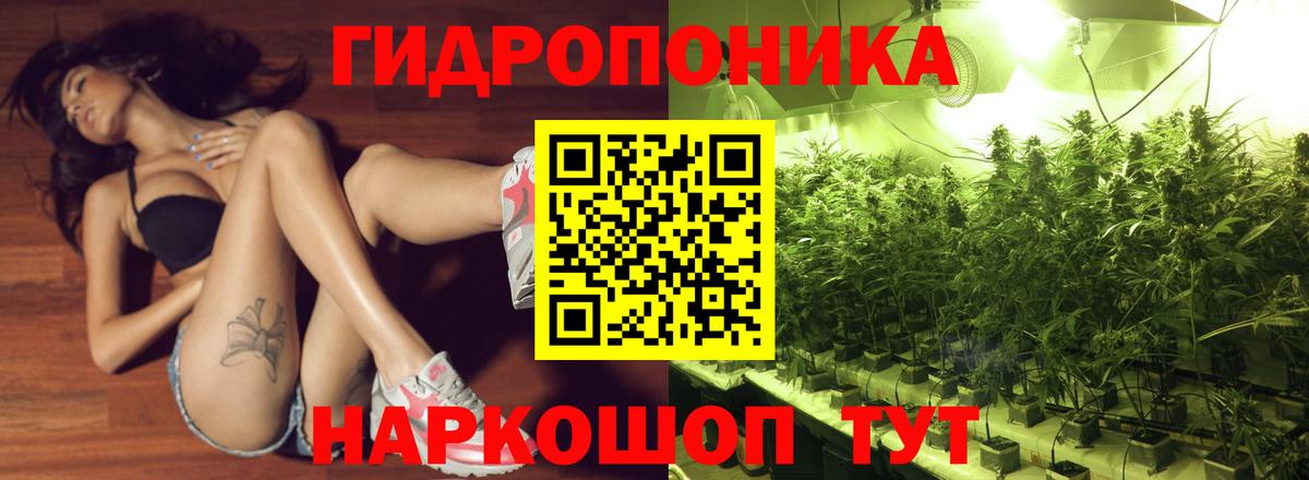 МАРИХУАНА планчик  Канабис OG Kush  Вязники  МАРИХУАНА THC 21% 